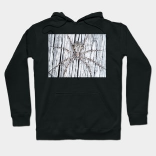 Philodromidae - running crab spider Hoodie